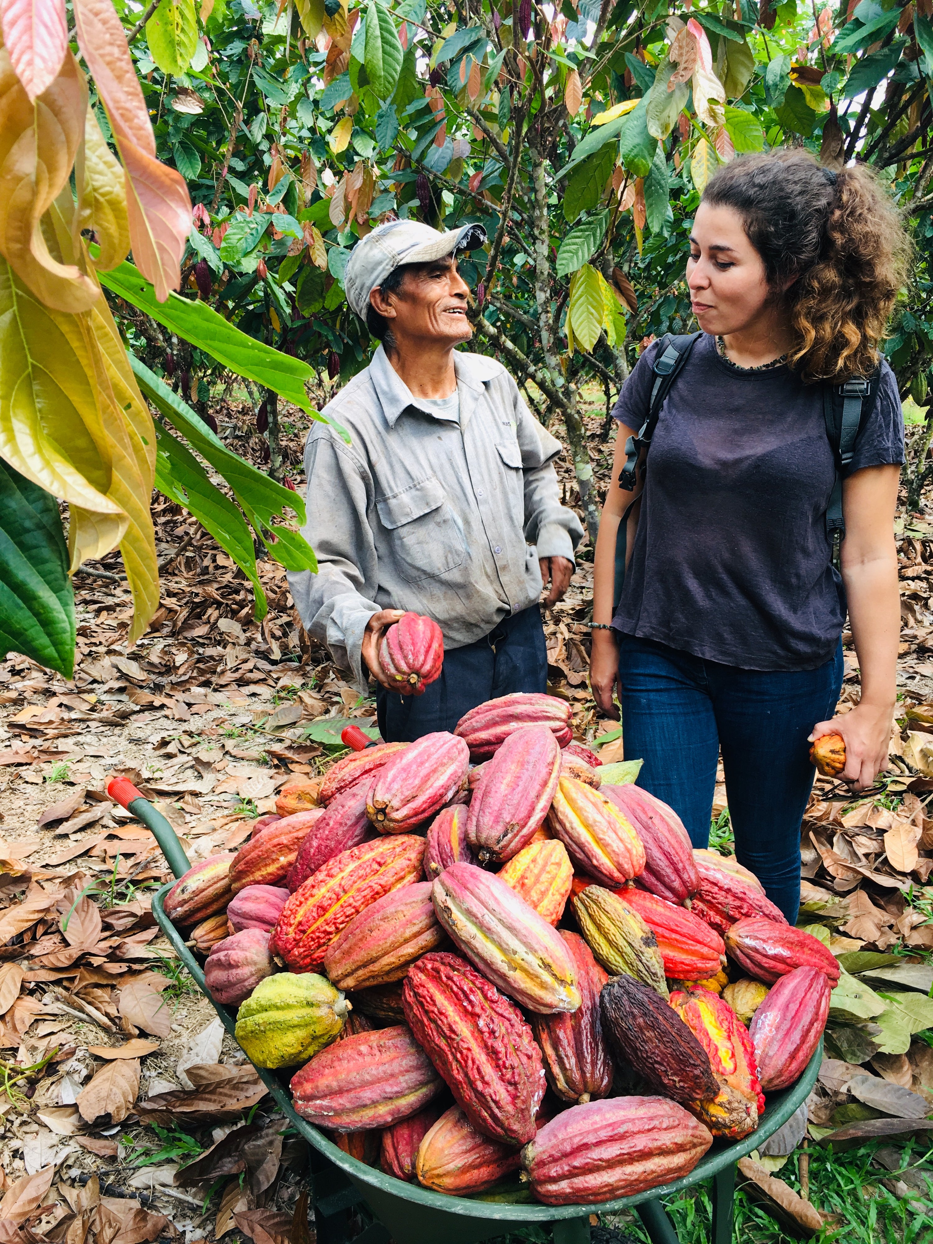 SUCCO DI CACAO: Pacha de Cacao
